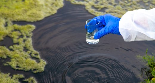 Take a water sample from the river. Selective focus. Nature.